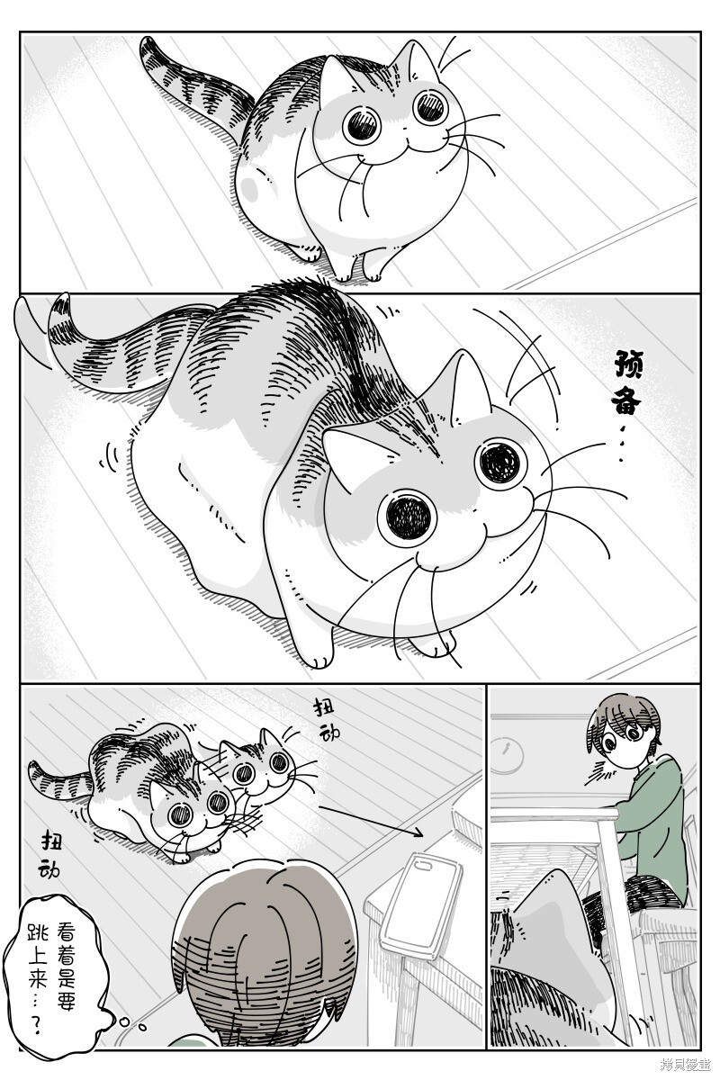 第187话0