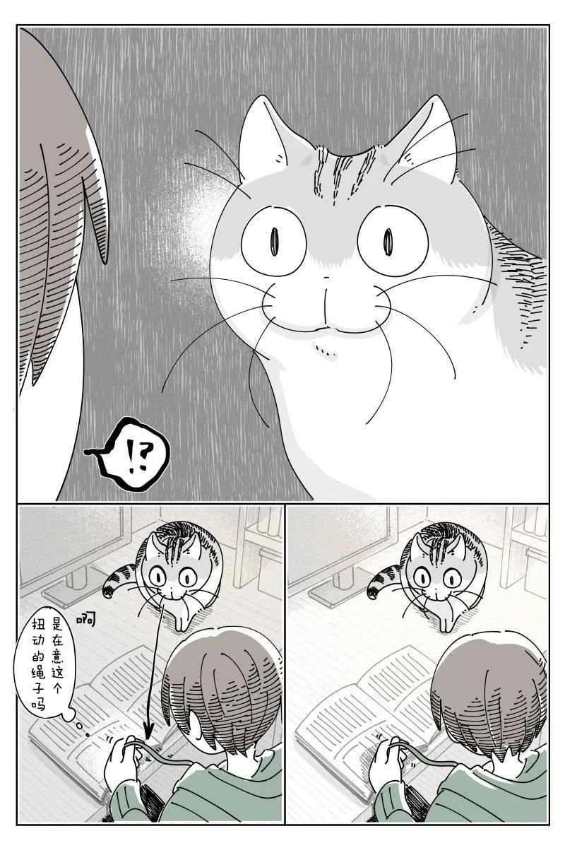 第240话1