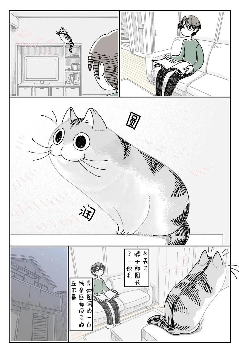 第246话1