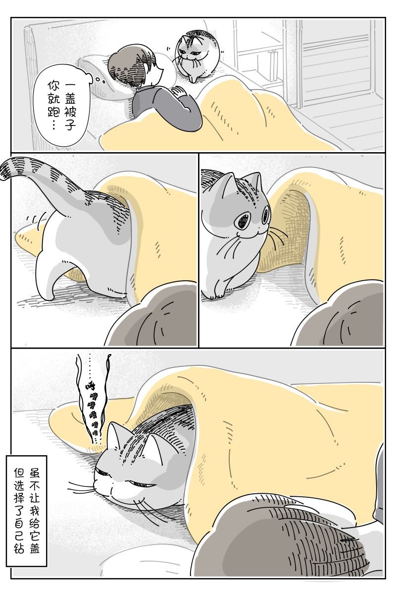第155话3