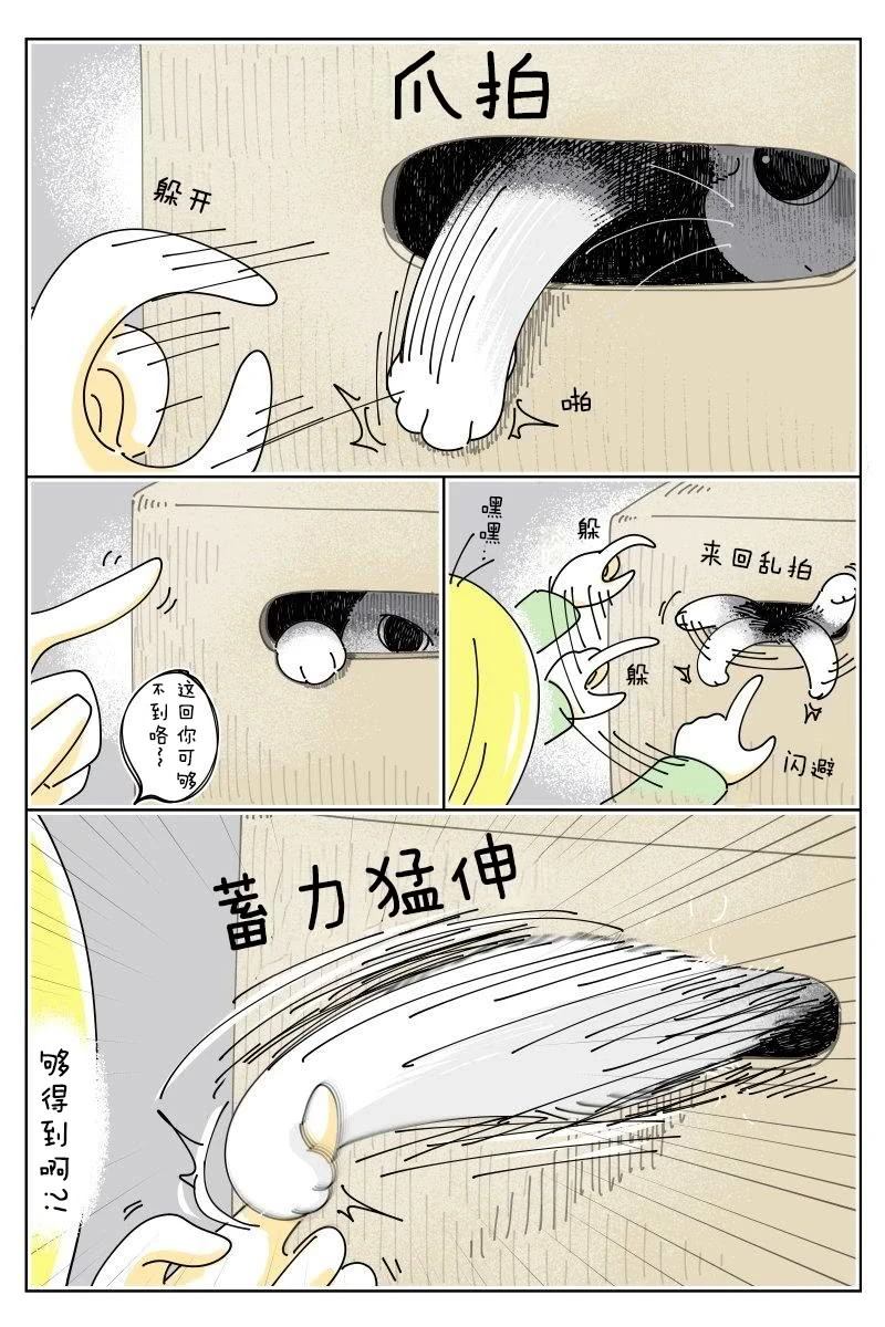 第242话1