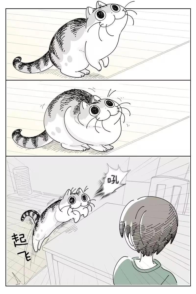 第256话0