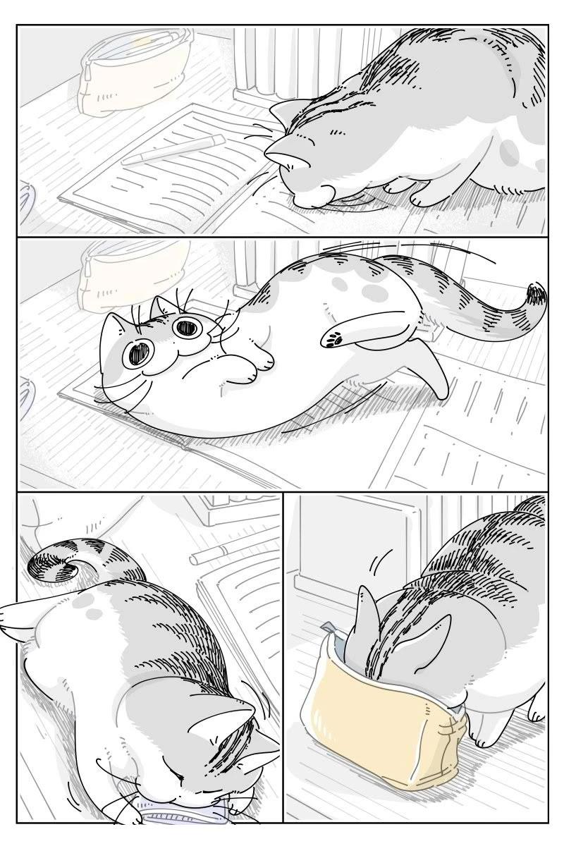 第238话1