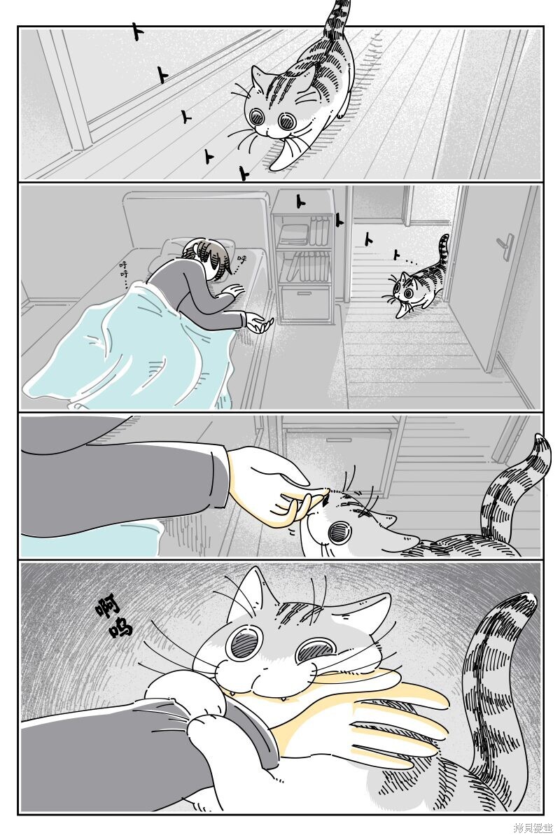 第213话0