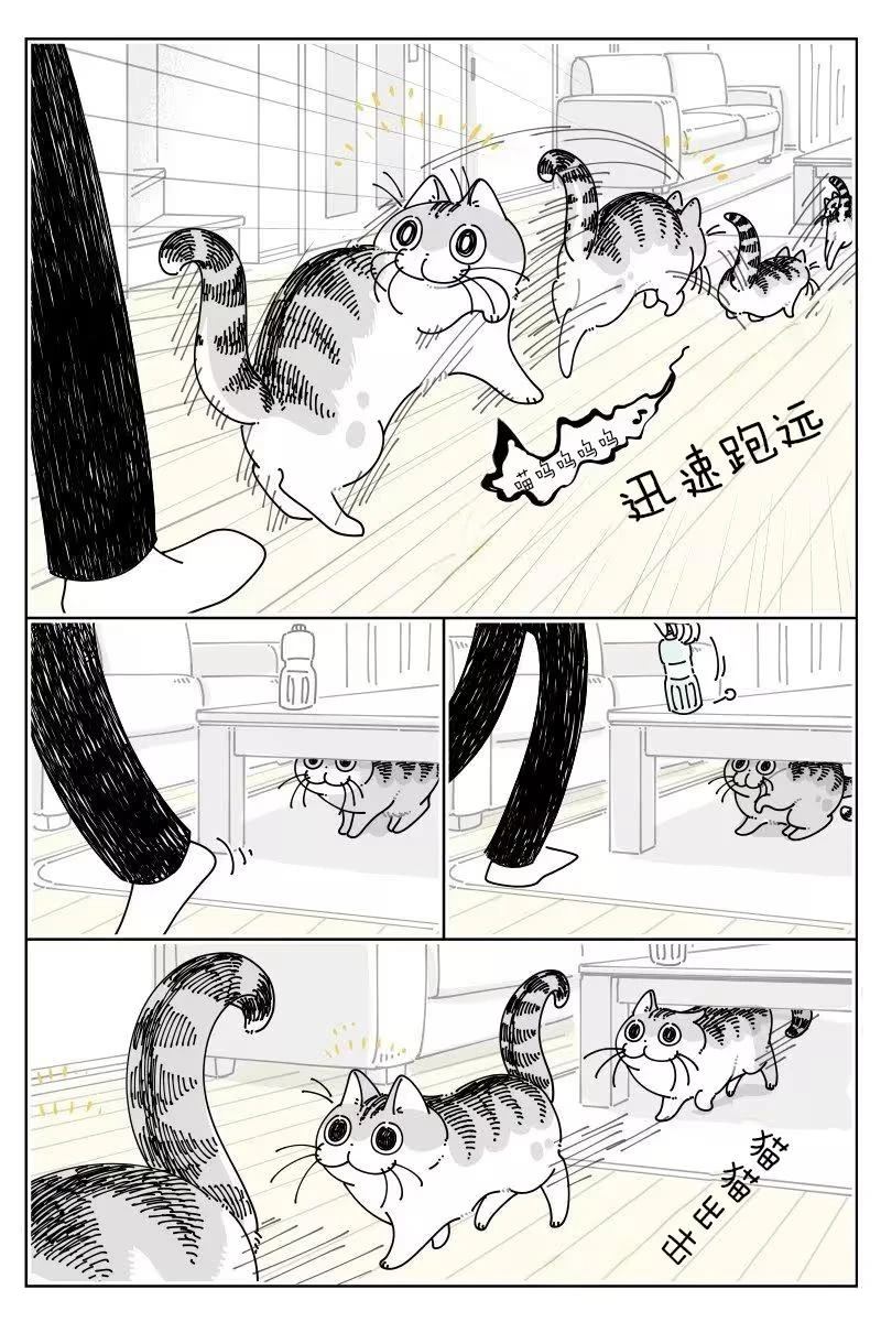 第255话1