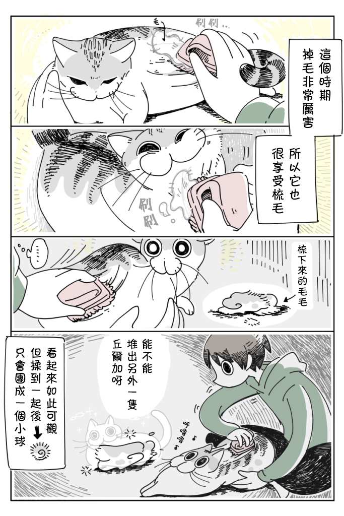 第11话3