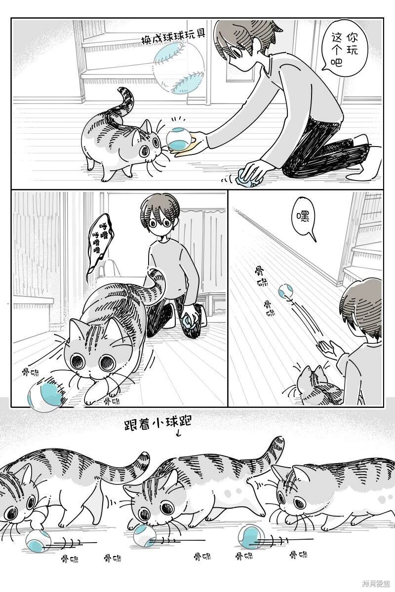 第208话1