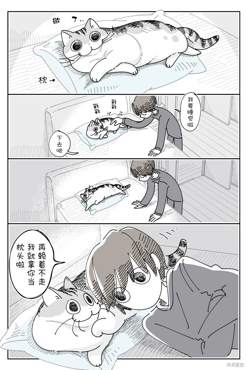 第216话0