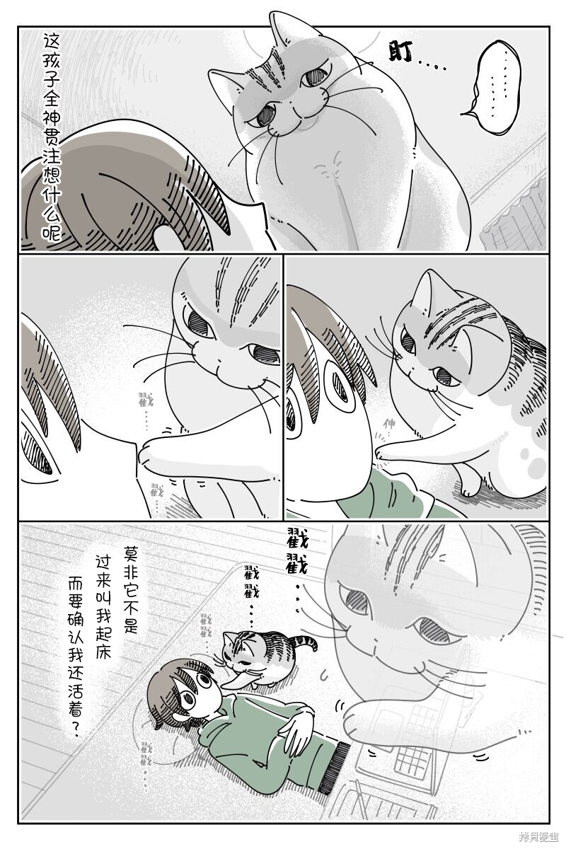 第204话2
