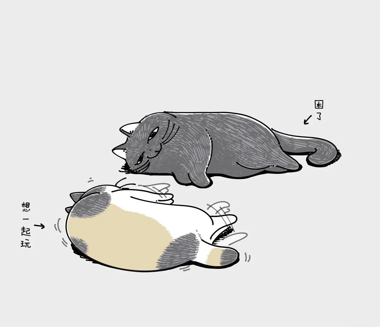 第244话2