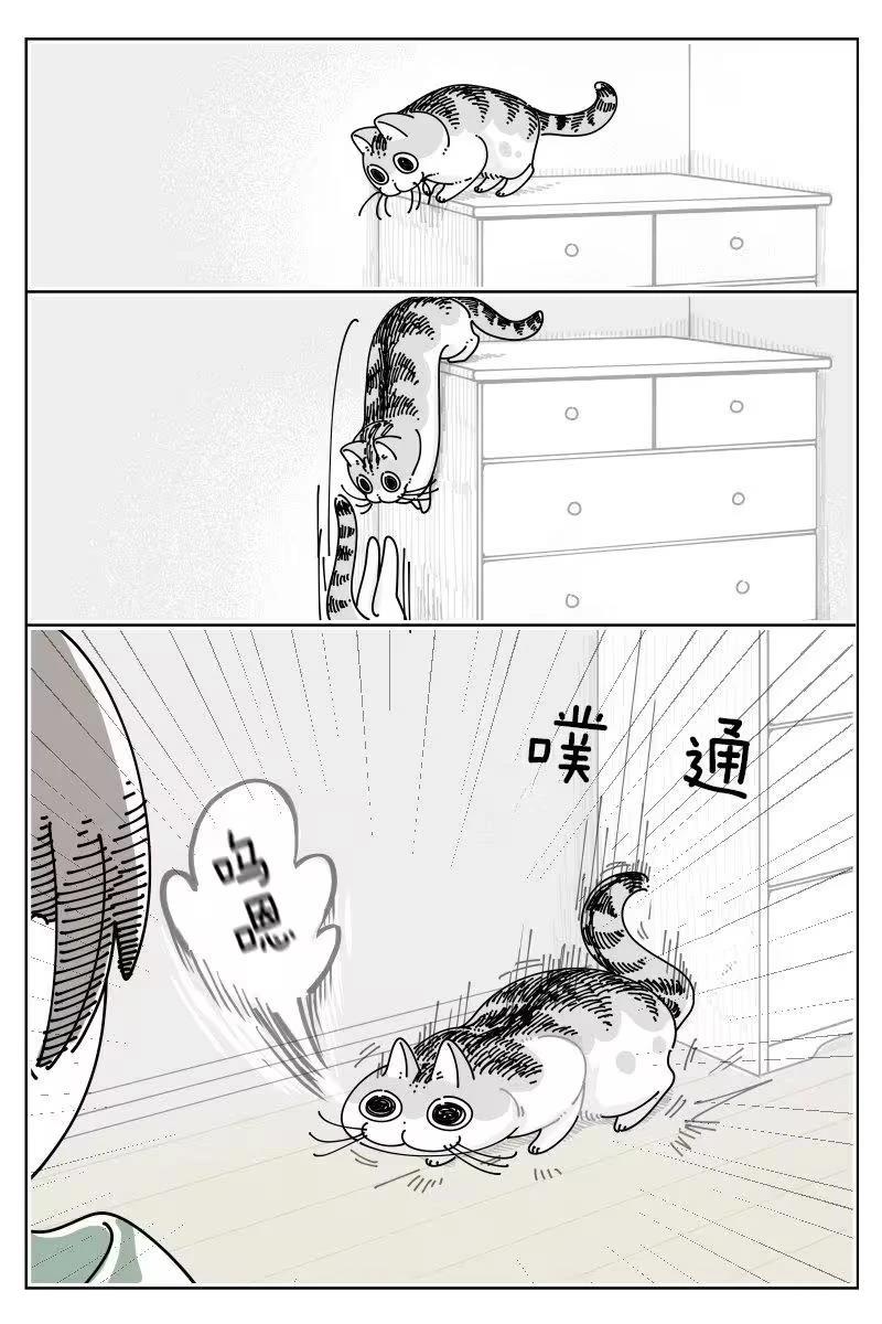 第255话2