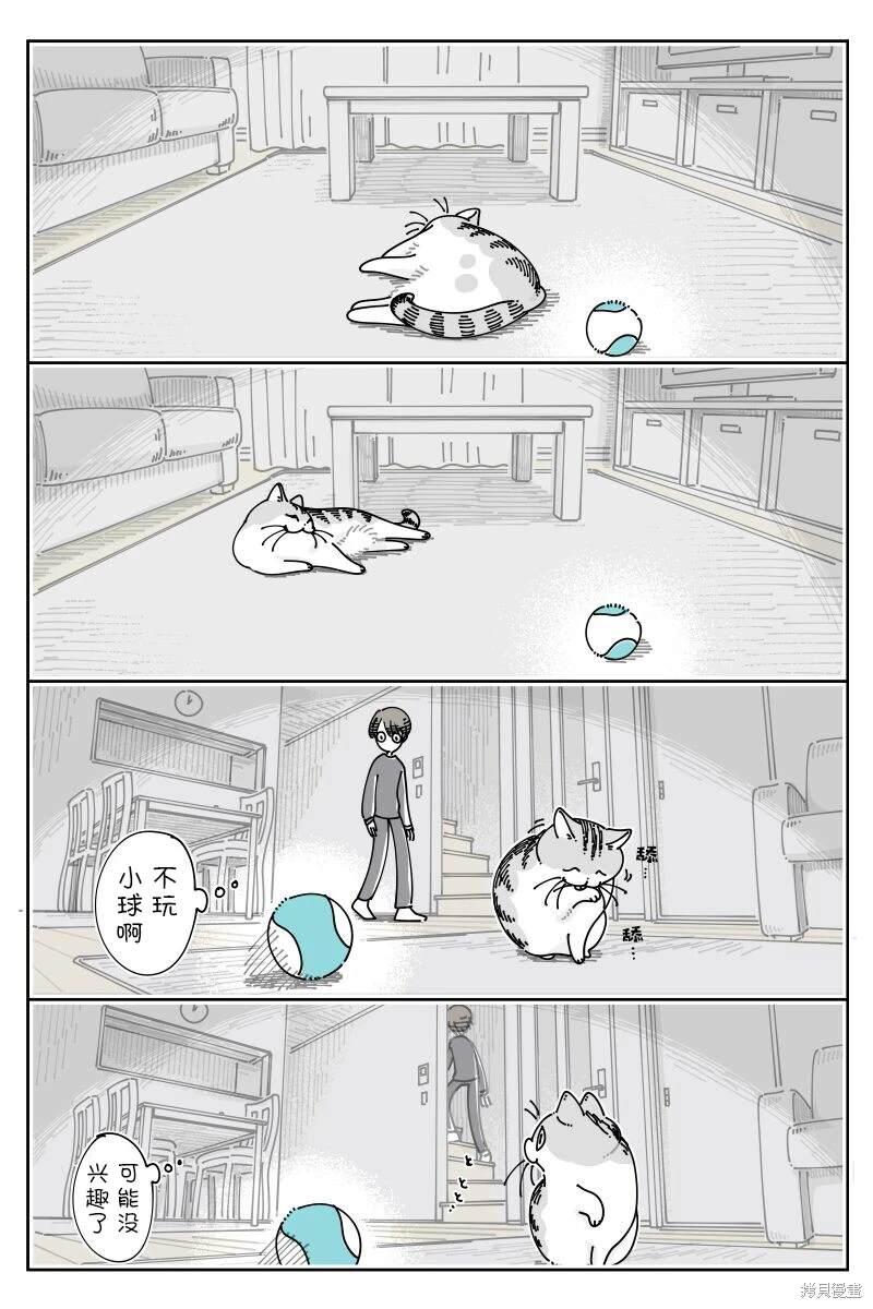 第209话0