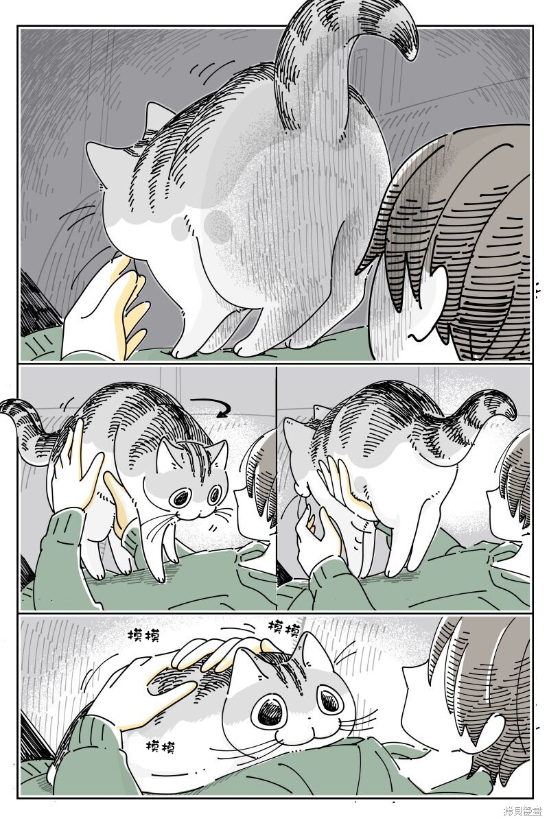 第203话2