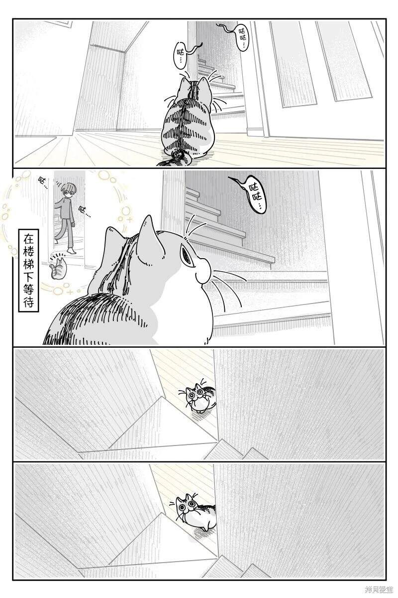 第209话2