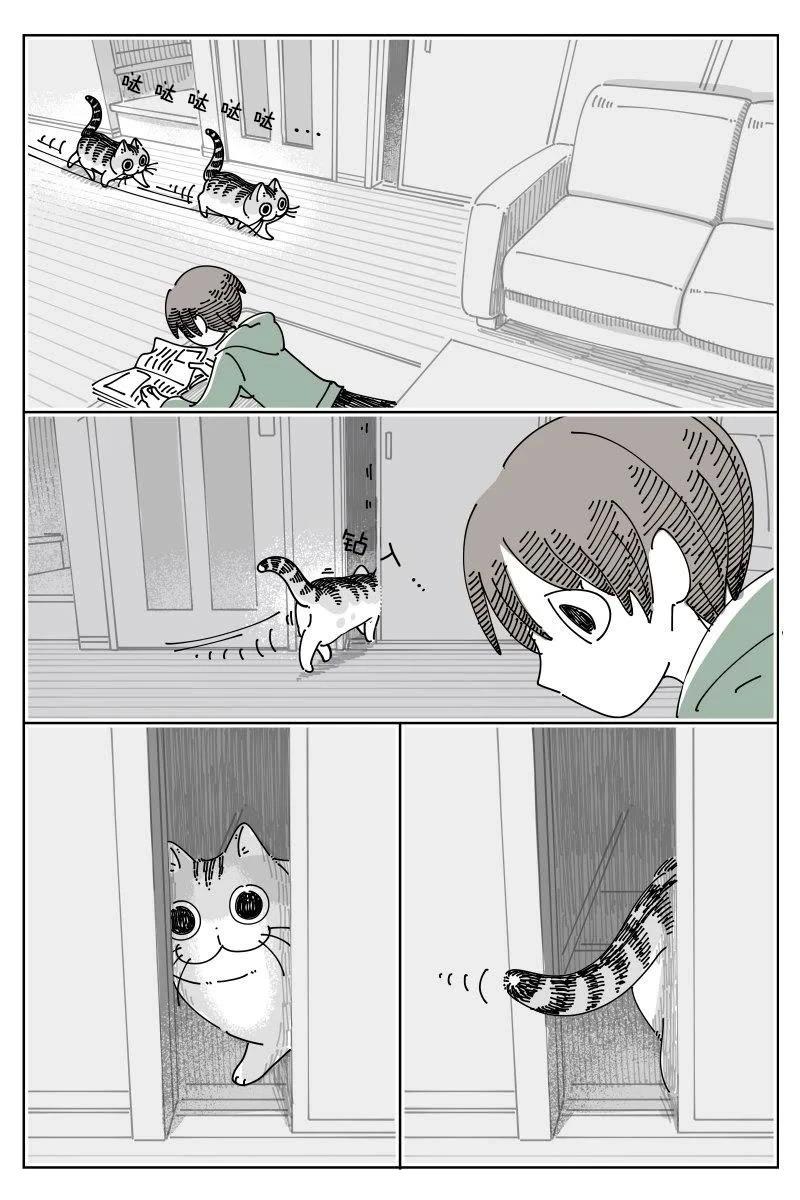 第247话0