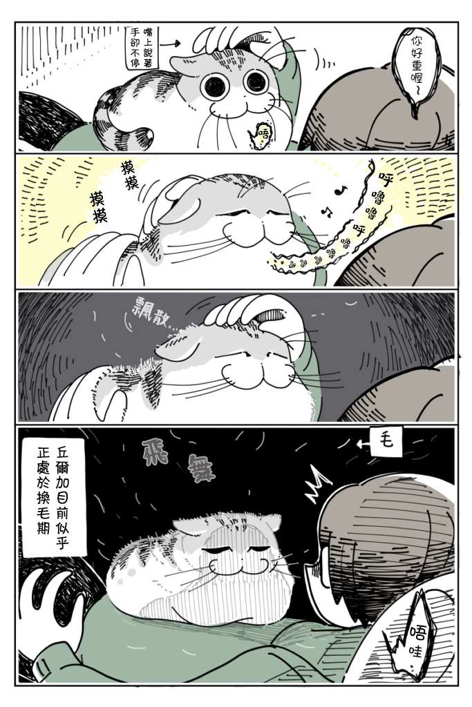 第11话1