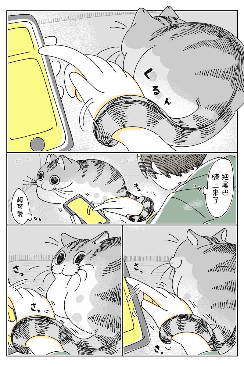 第147话2