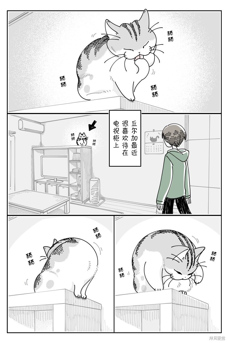 第215话0