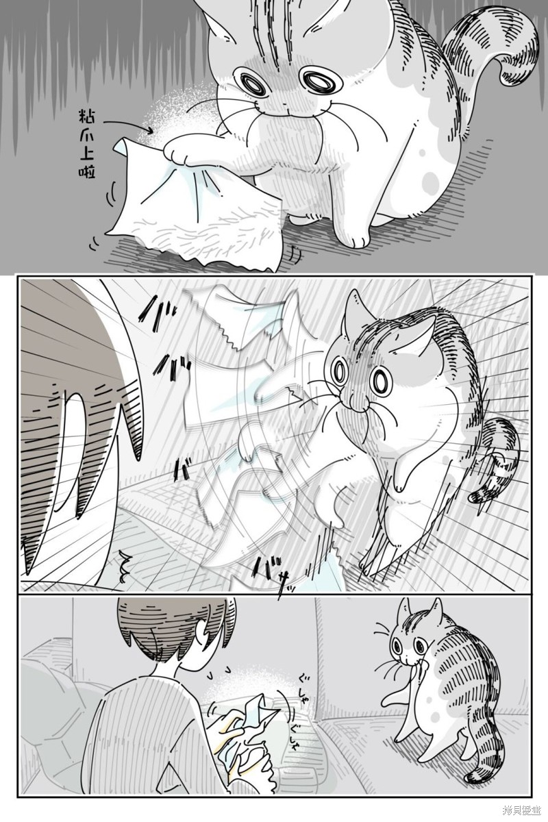 第207话2