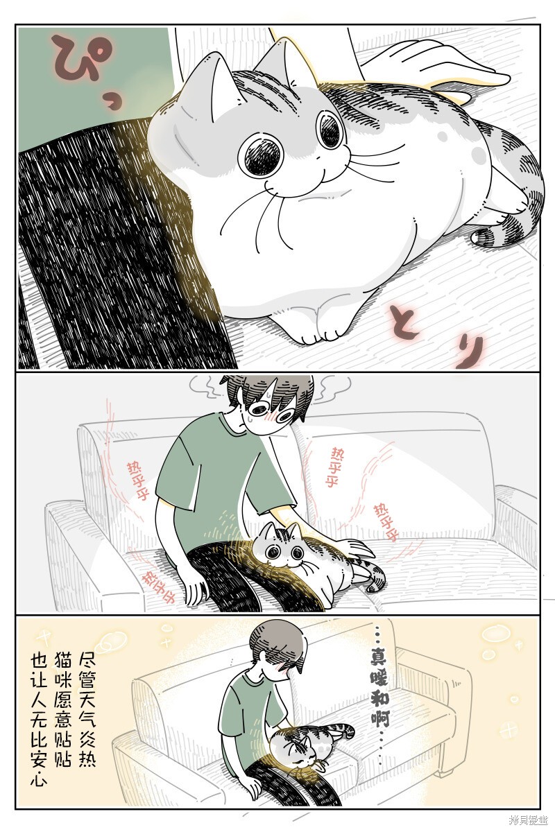 第185话1