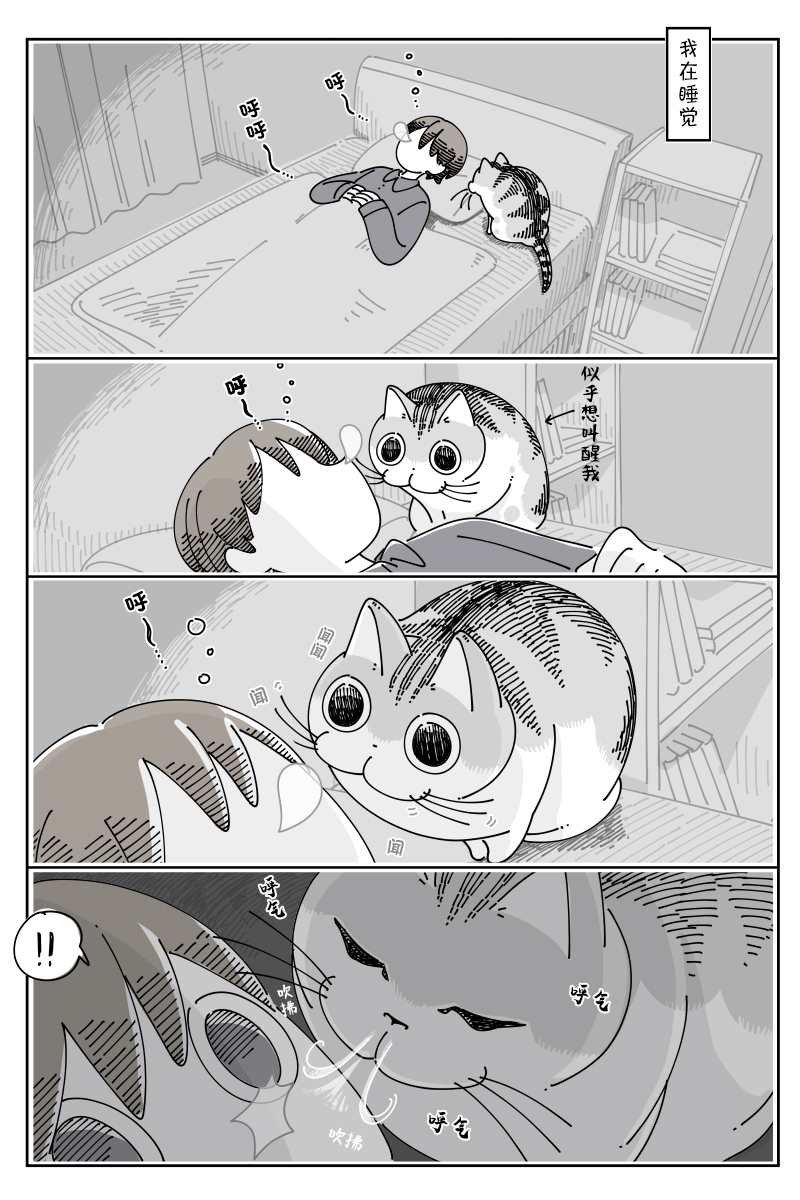 第110话0
