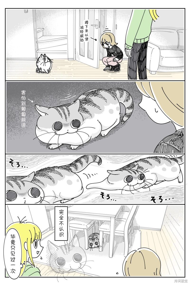 第199话2
