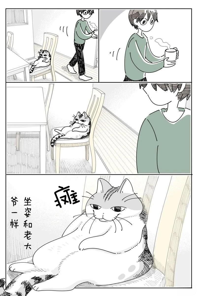 第243话0
