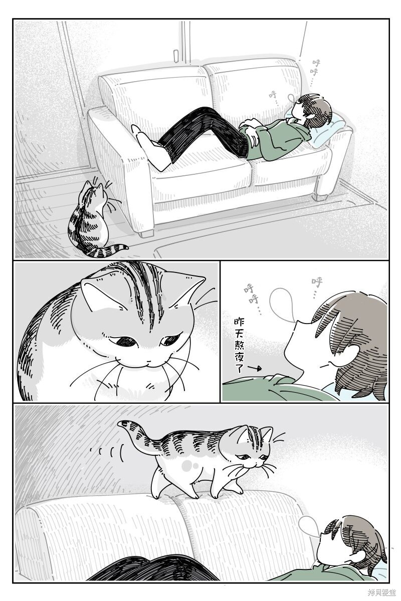 第203话0