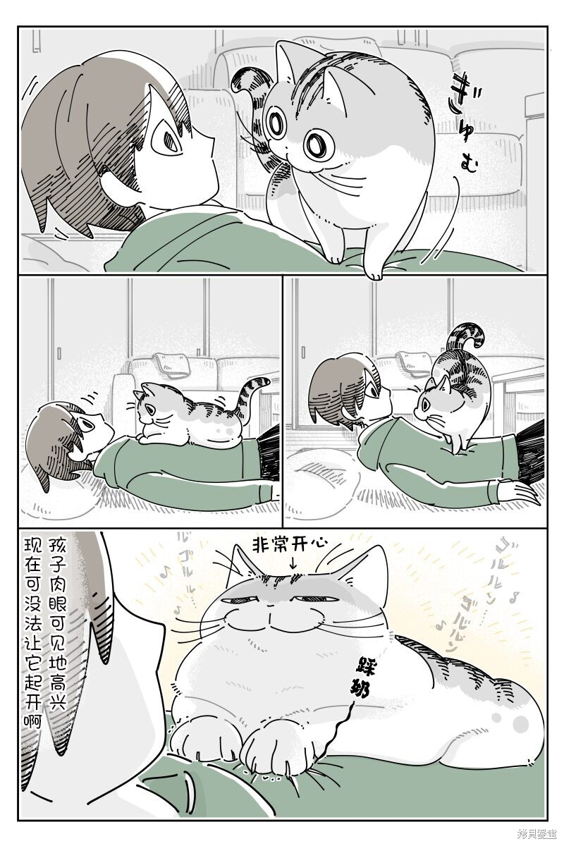 第205话1