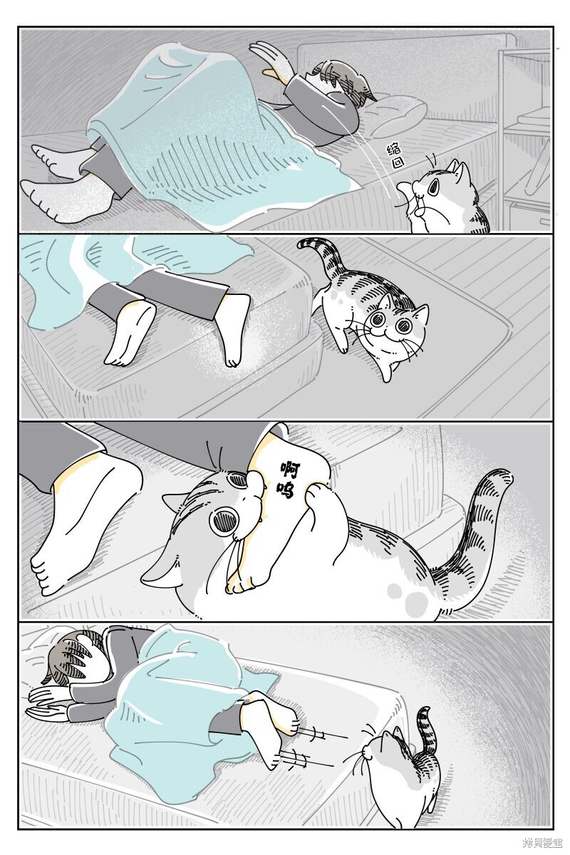 第213话1