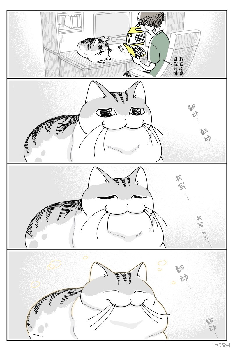 第181话0