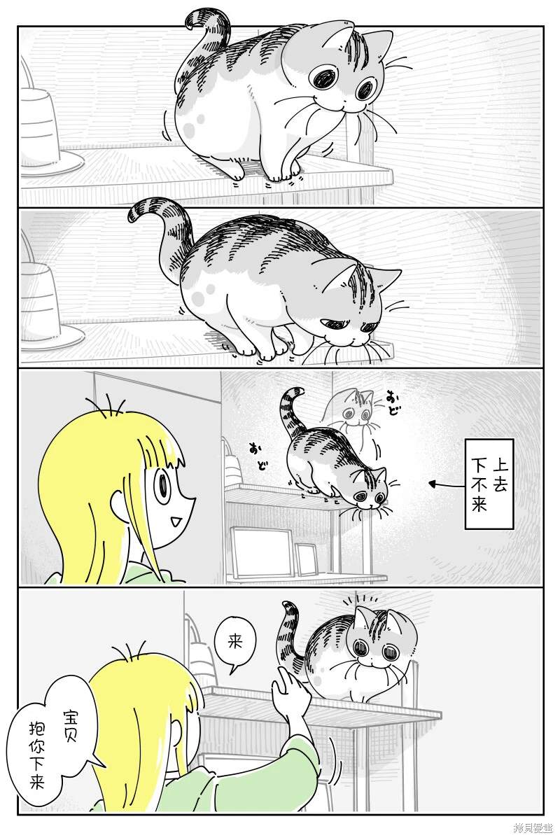 第190话0