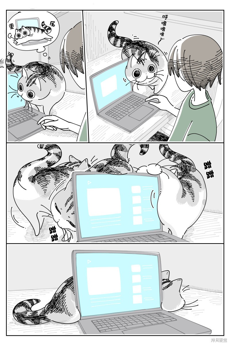 第175话0