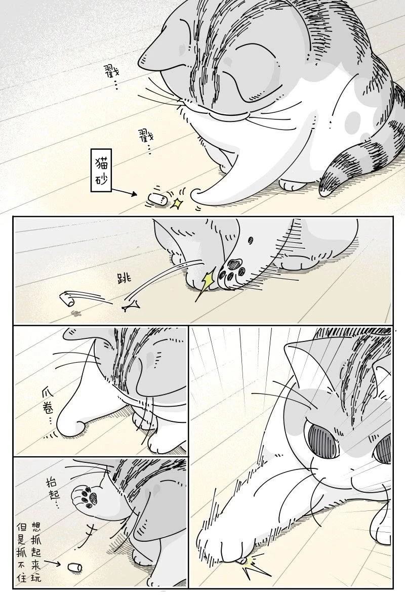第219话0