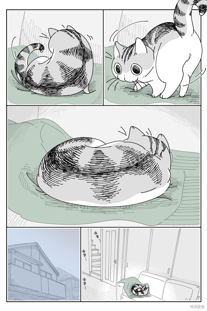 第206话2