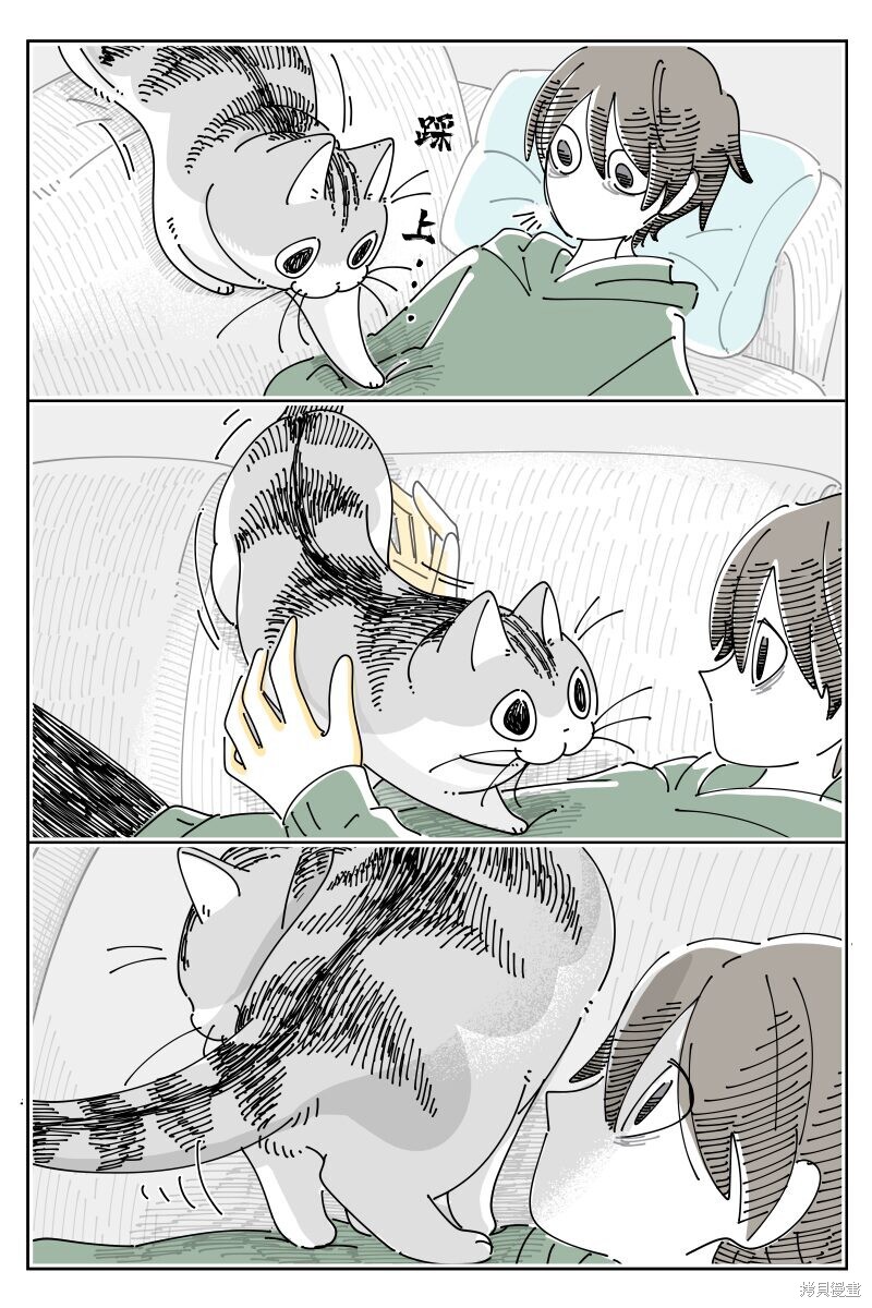 第203话1