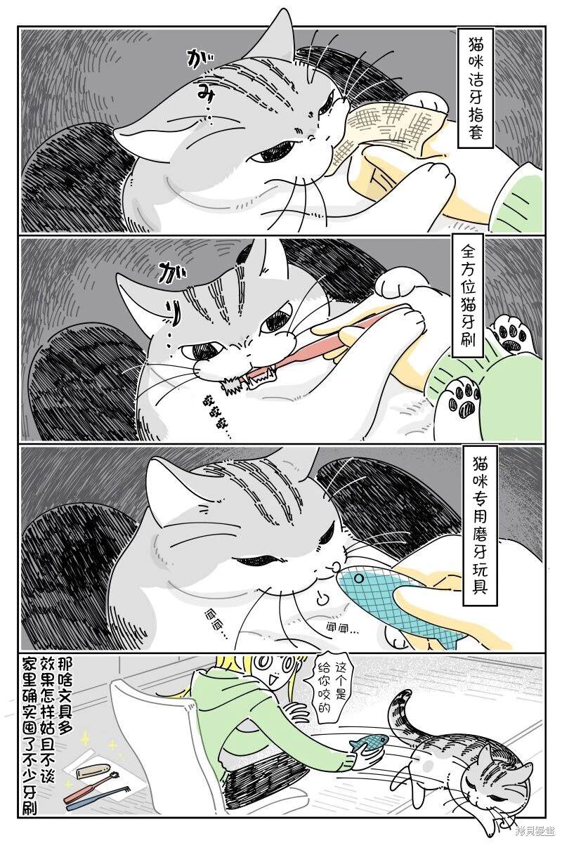 第211话3