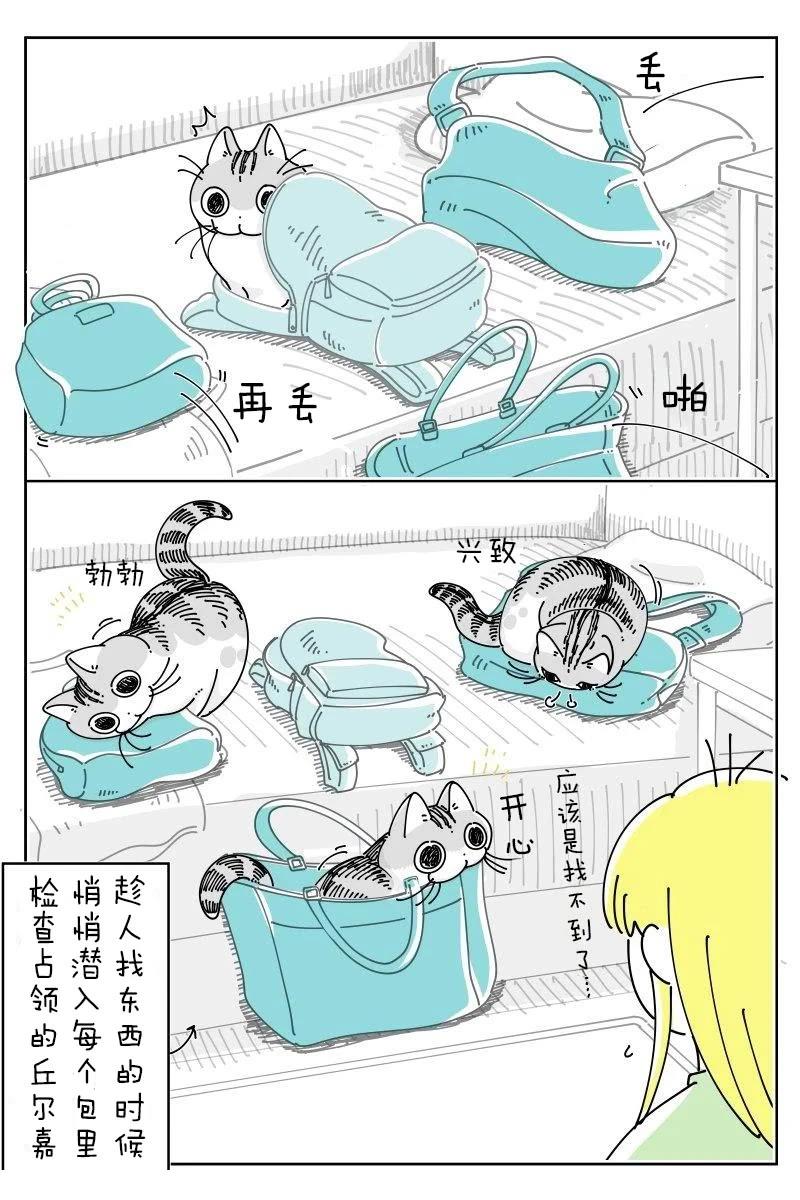 第231话2