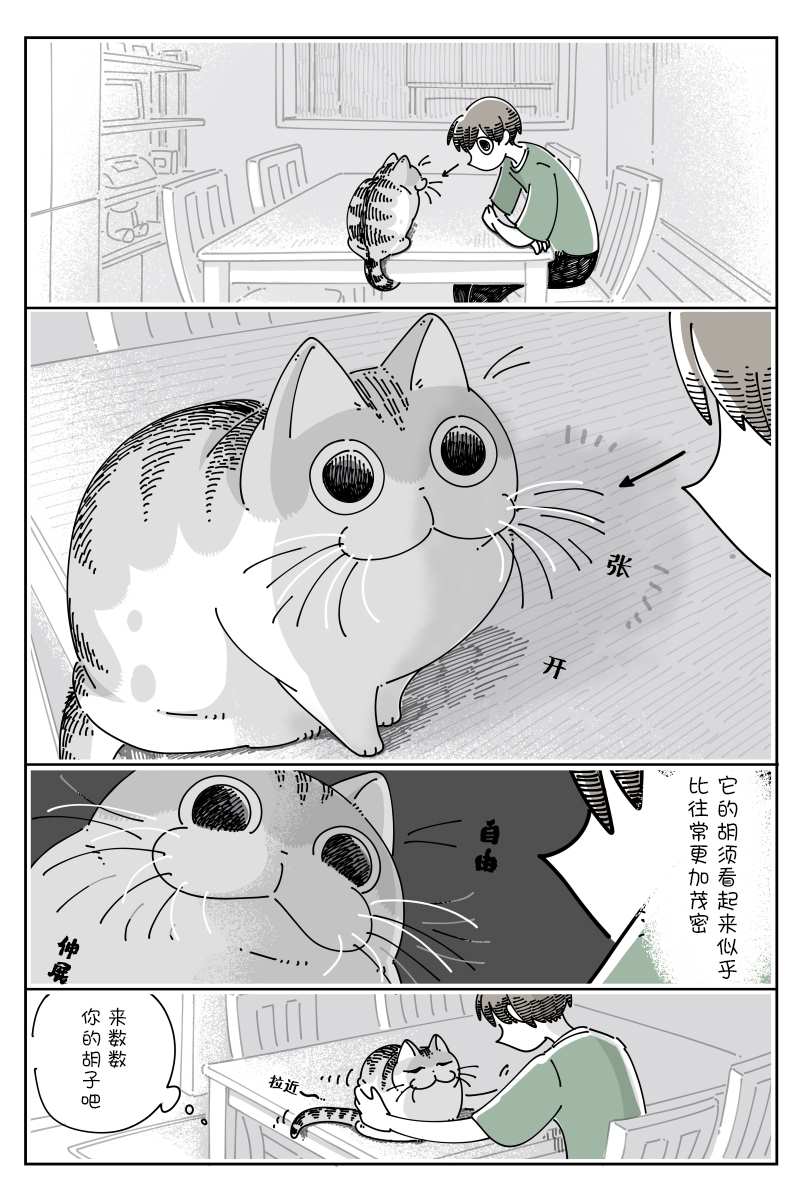 第84话0