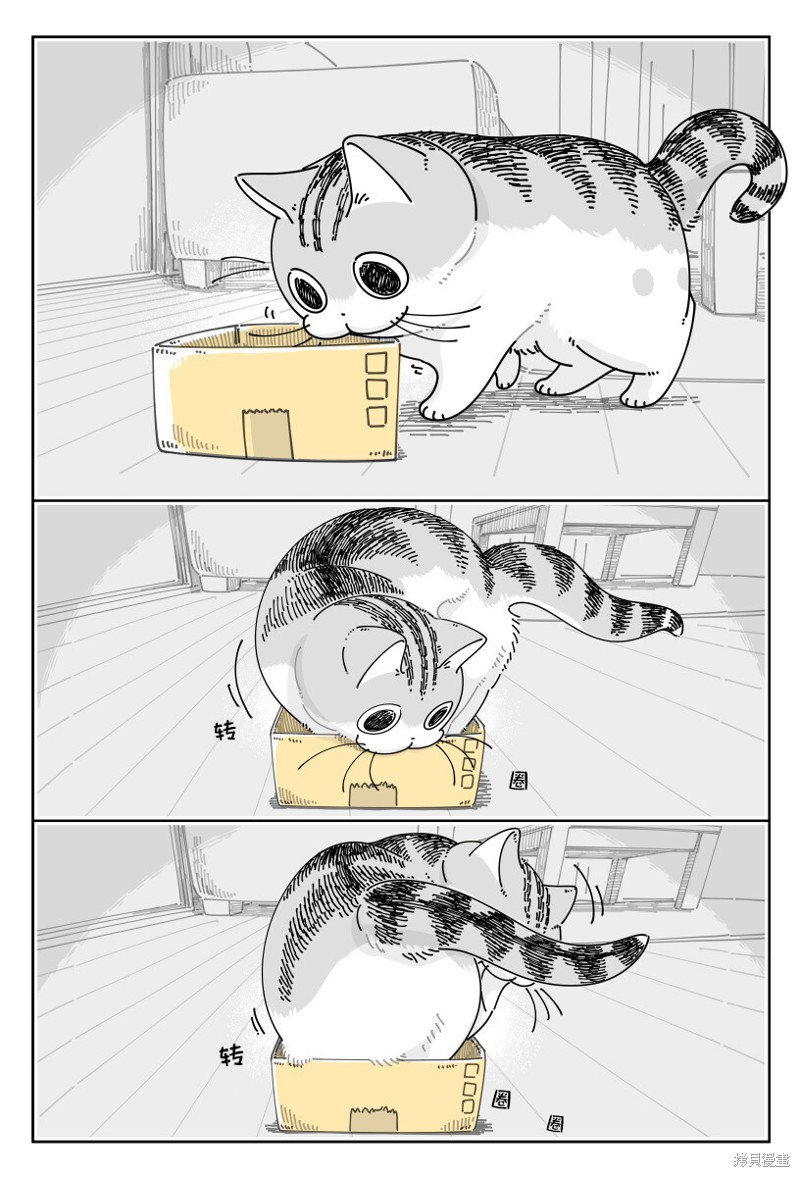 第188话0
