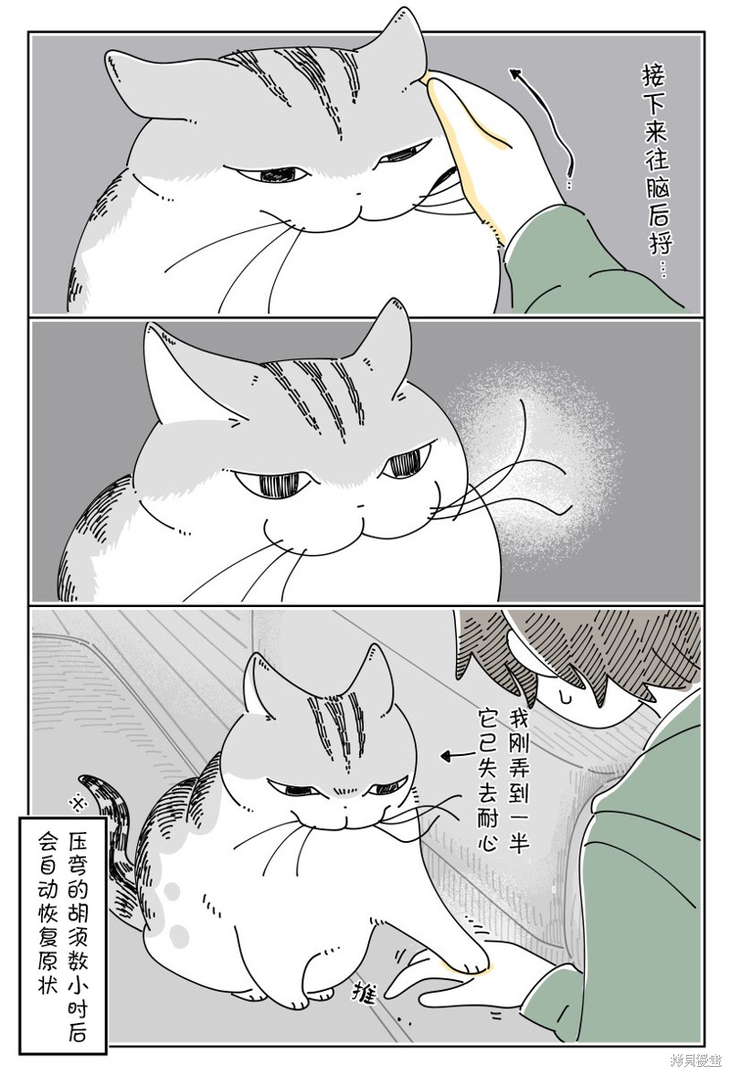 第192话2