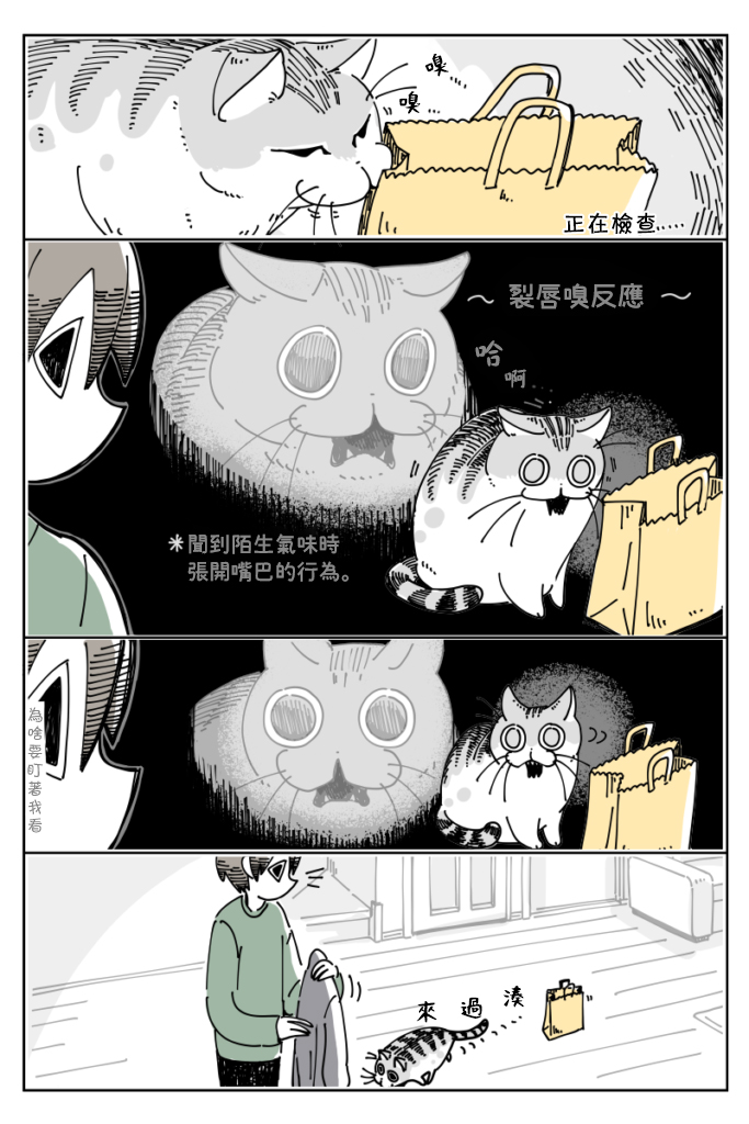 第15话1
