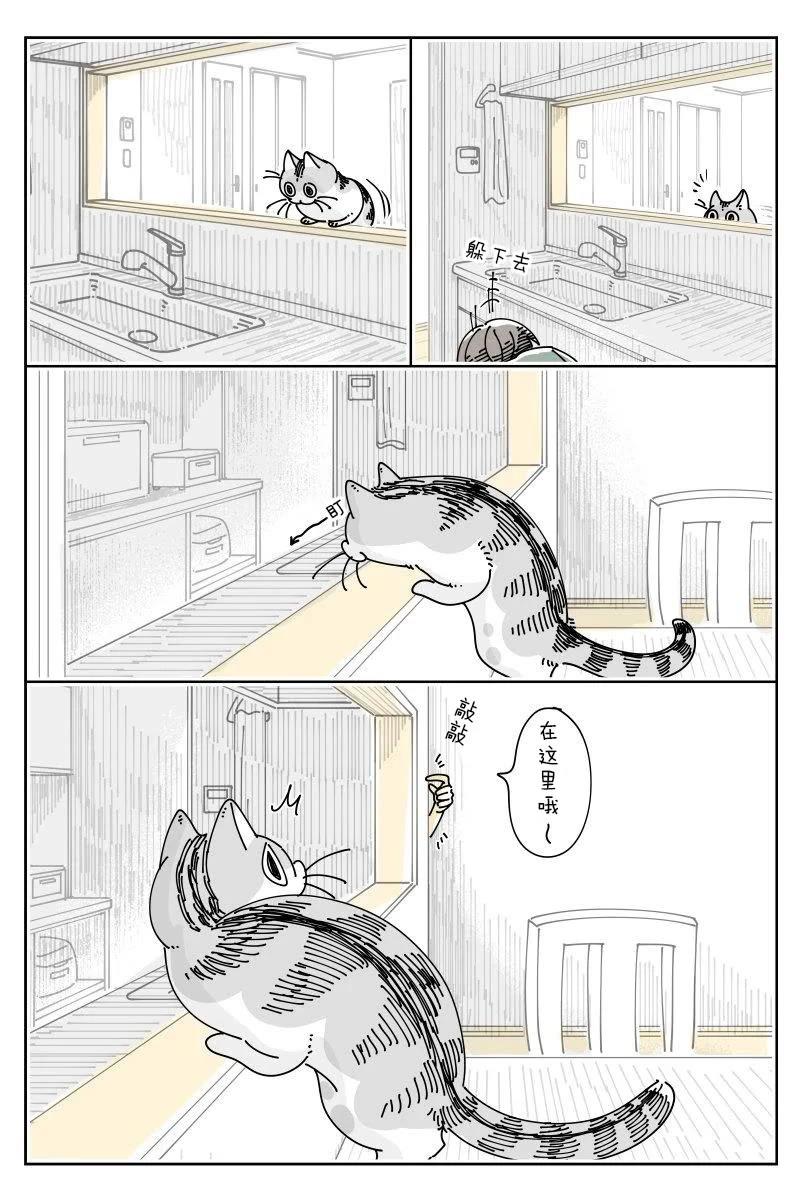 第230话2
