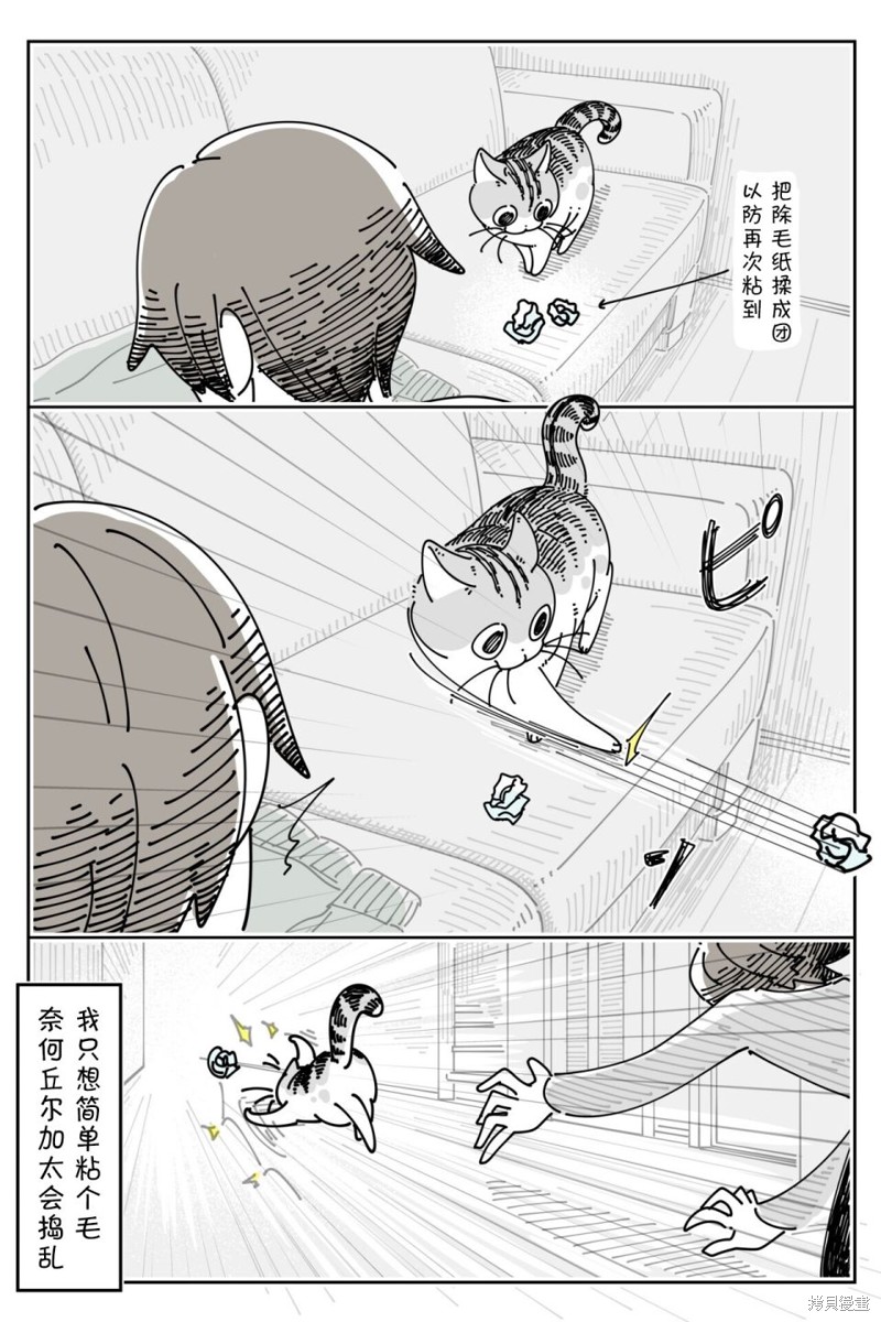 第207话3