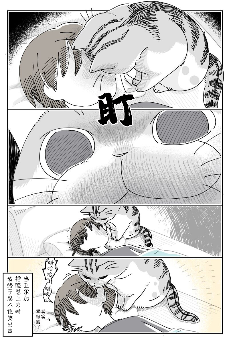 第224话2