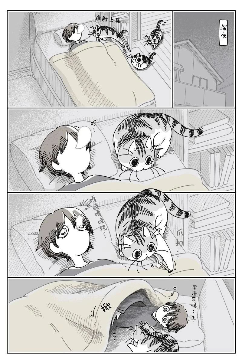 第244话0