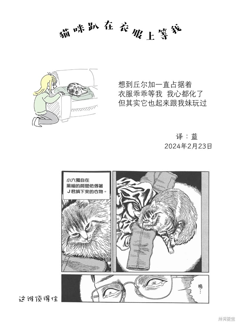 第206话4