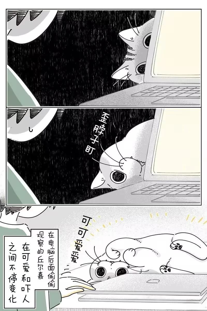 第260话2