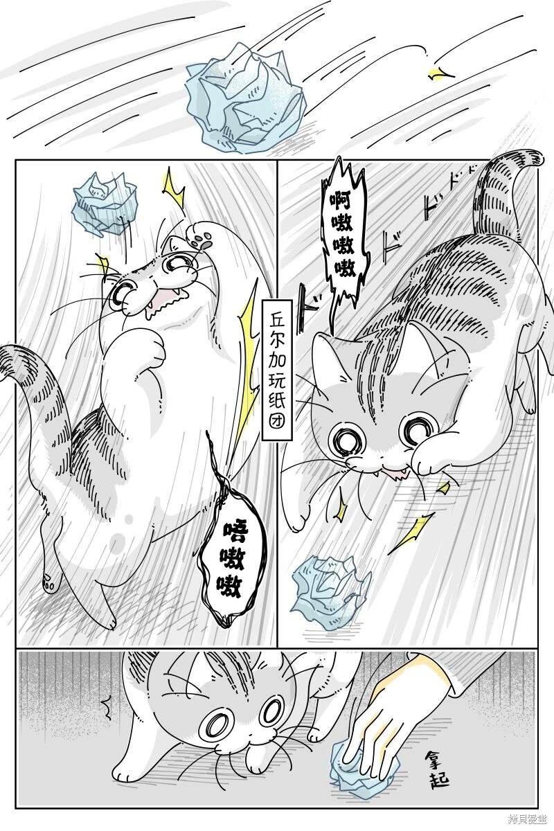 第208话0
