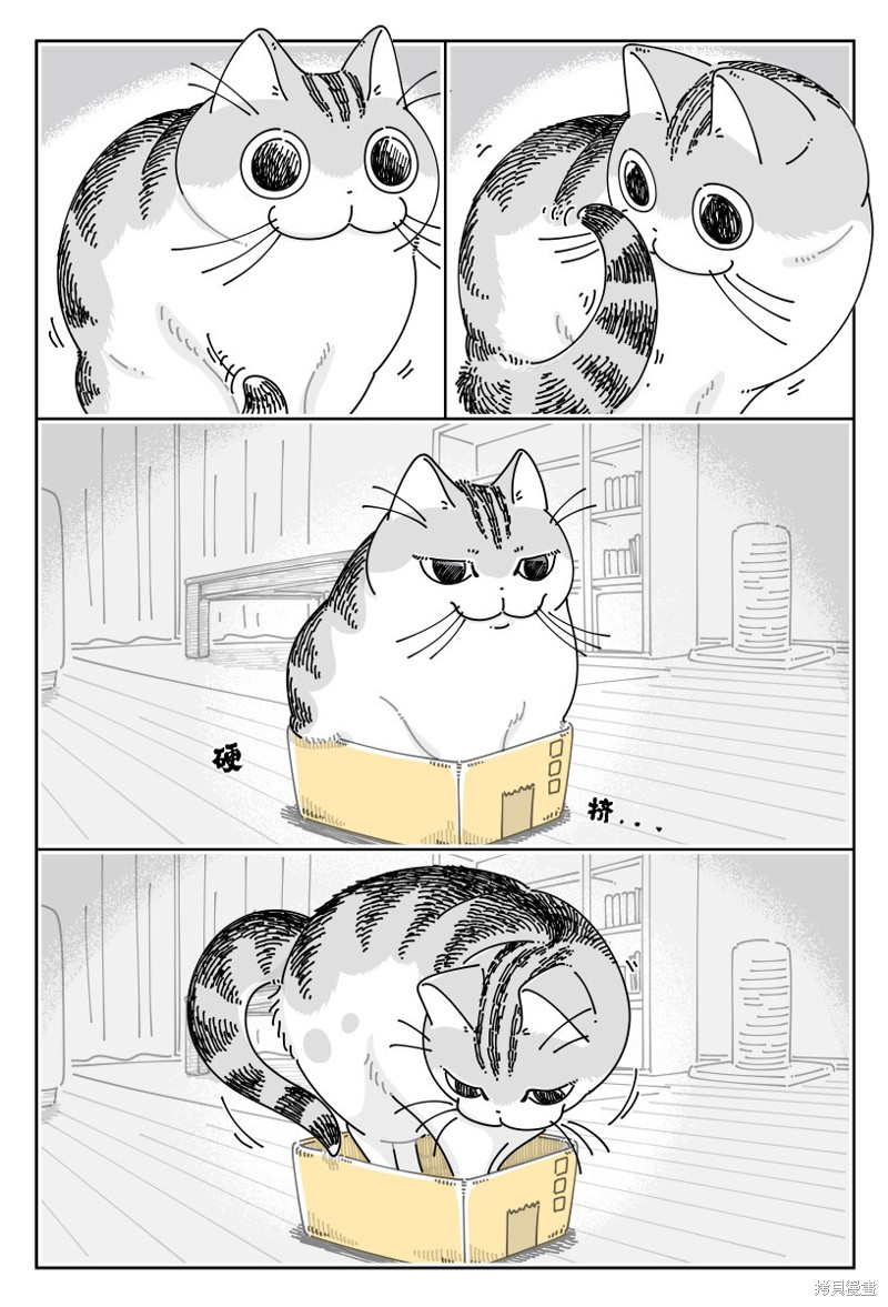 第188话1